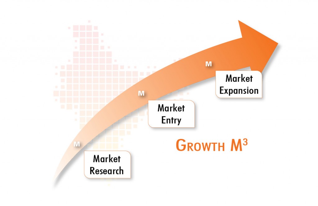 Growth M3